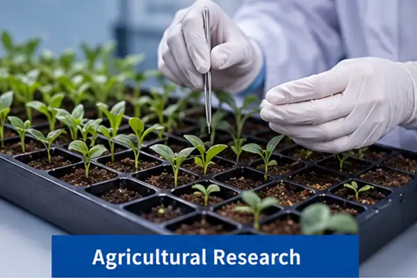 Agricultural research with seedlings and controlled incubation conditions