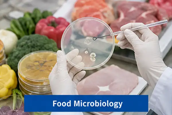 Food microbiology testing and microorganism research in a laboratory
