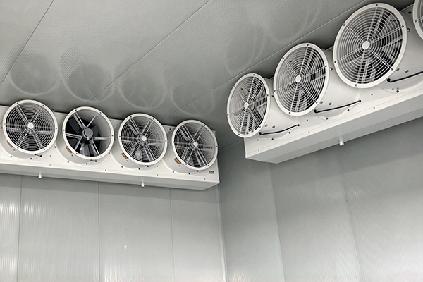 Walk In Freezer Evaporator